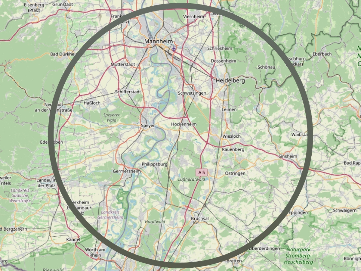 Rechteckiger Swimmingpool mit hellgrauer Umrandung und gemusterter Flieseneinfassung, links ein grüner Busch, im Hintergrund Terrasse mit Möbeln.